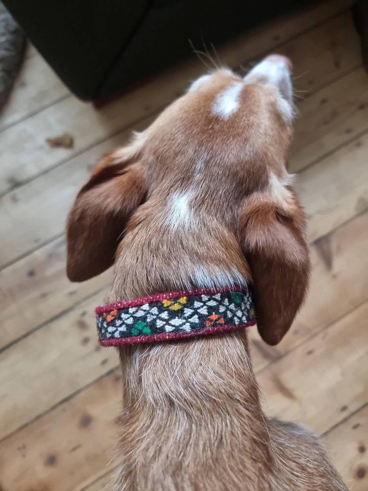 Boho dog collar for small dogs, tribal pet collar real leather, unique puppy collar with moroccan kilim, bohemian dog accessories gifts