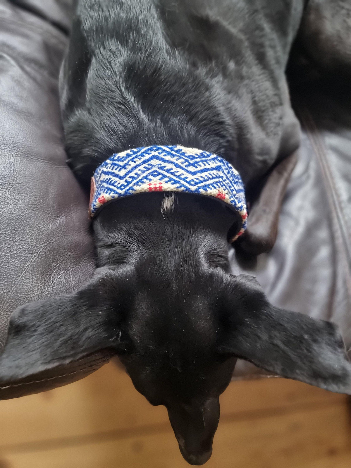 Boho dog collar for small dogs, tribal pet collar real leather, unique puppy collar with moroccan kilim, bohemian dog accessories gifts
