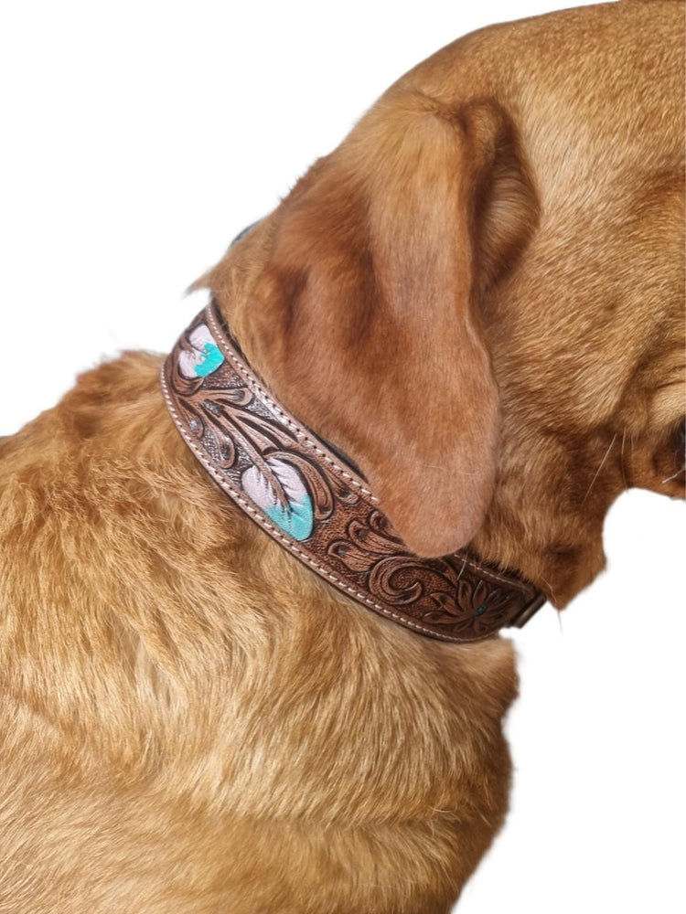 Hand-Tooled Leather Dog Collar: Turquoise Feather, Western Boho Style