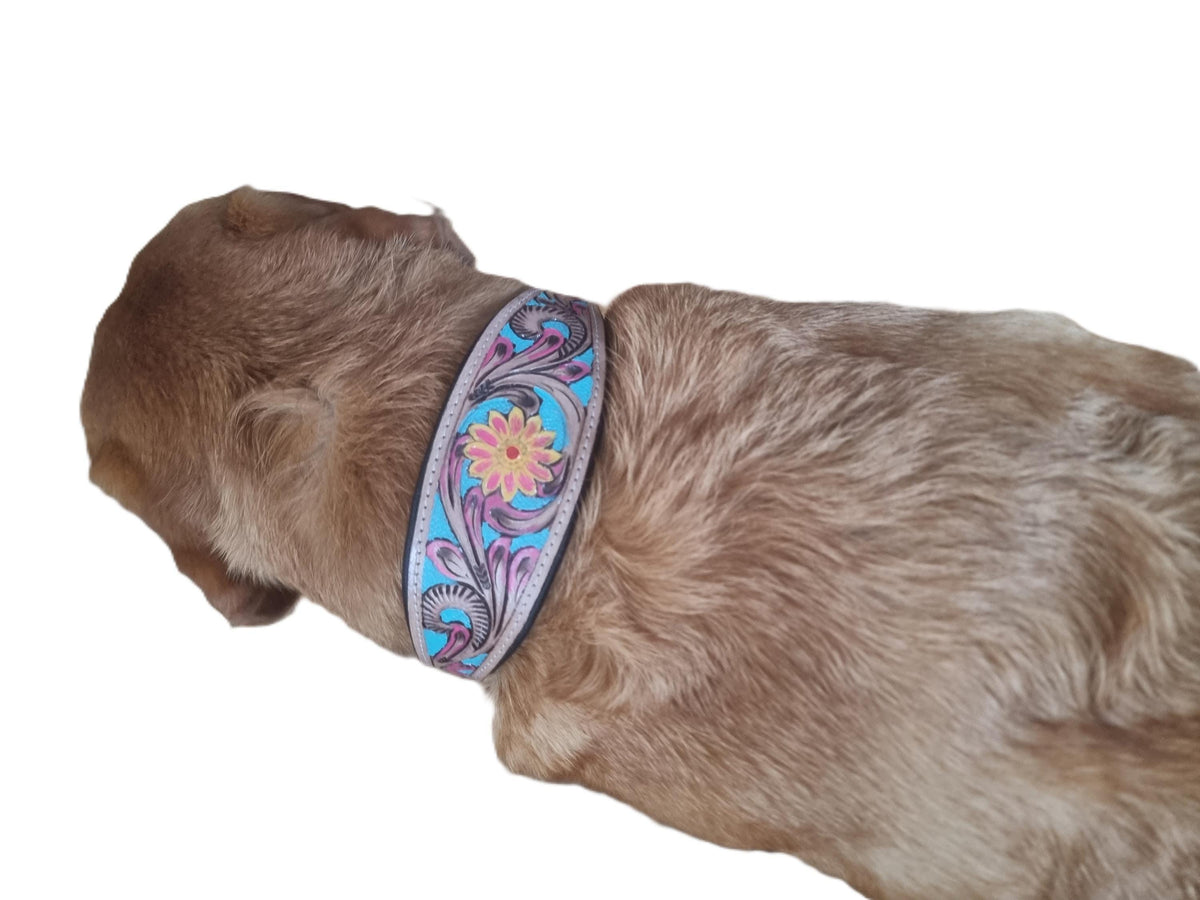Hand Tooled Leather Dog Collar: Sunflower Boho Western Style