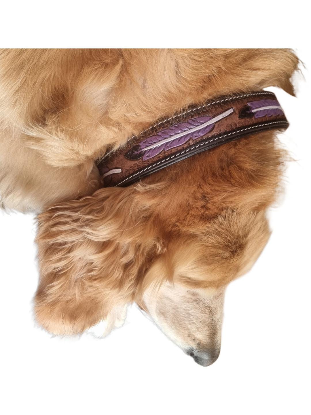 Hand Tooled Leather Dog Collar: Western Boho Feather Design
