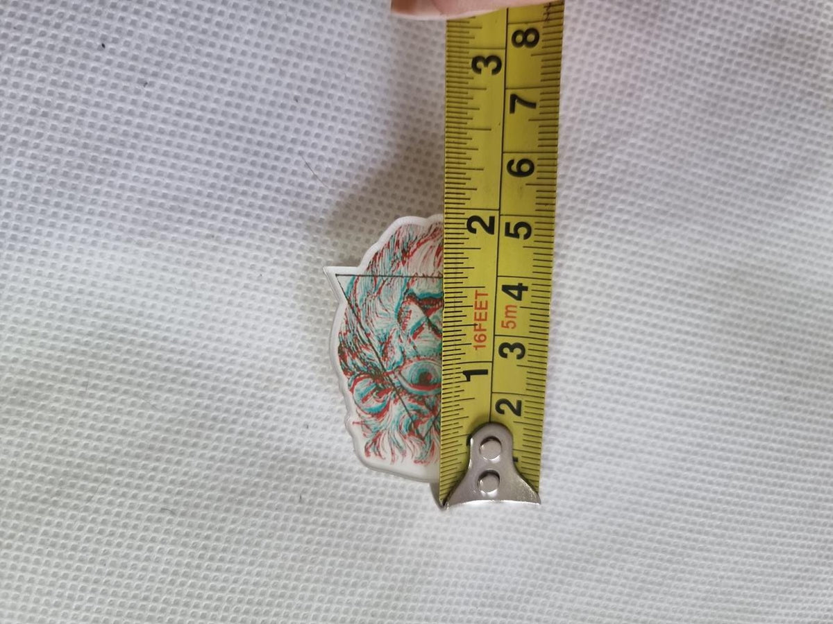 Psychedelic Lion Brooch: Trippy Illuminati Eye Pop Art Pin