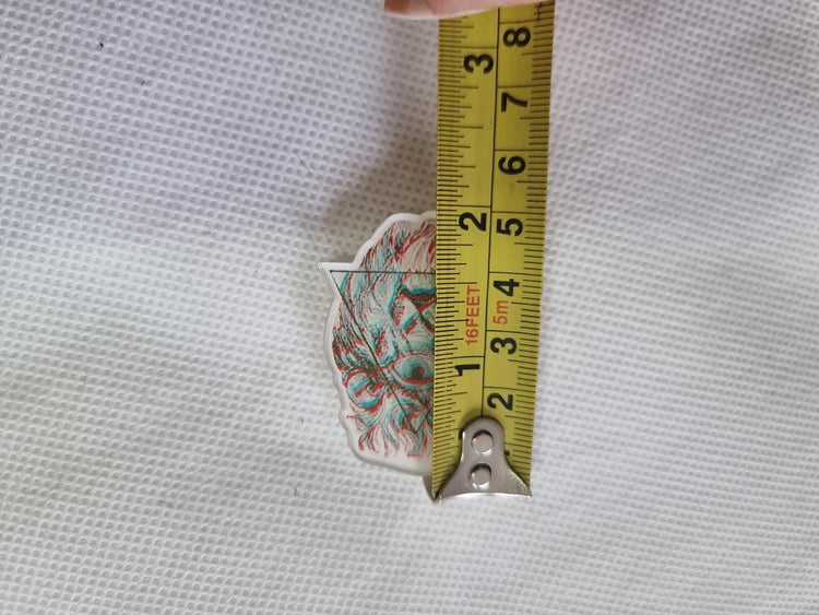 Psychedelic Lion Brooch: Trippy Illuminati Eye Pop Art Pin