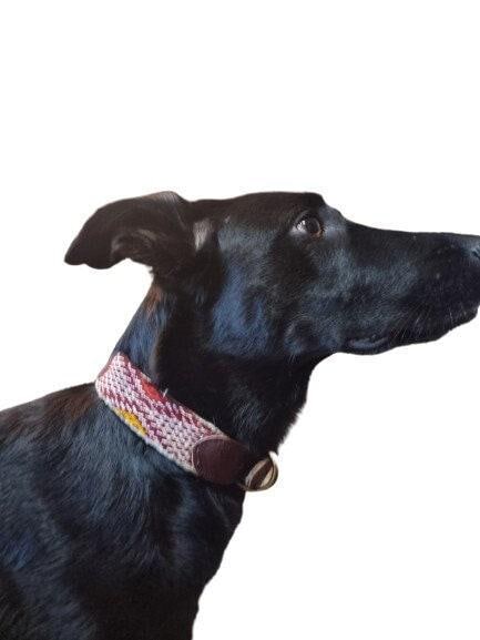 Upcycled Kilim Leather Dog Collar: Bohemian Large Breed Accessory