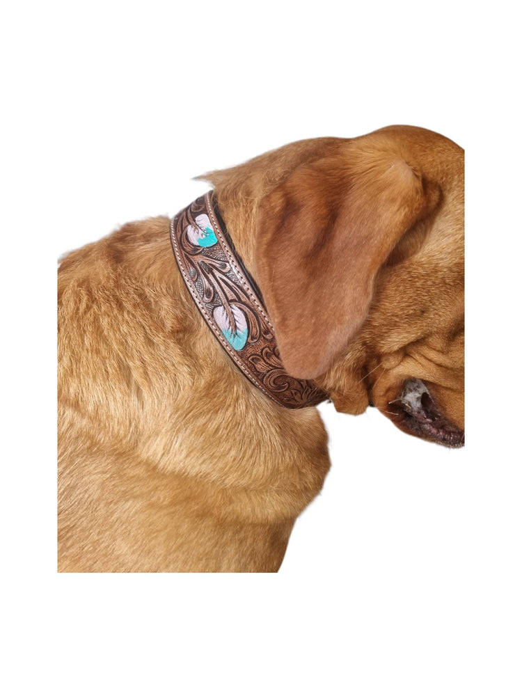 Hand-Tooled Leather Dog Collar: Turquoise Feather, Western Boho Style