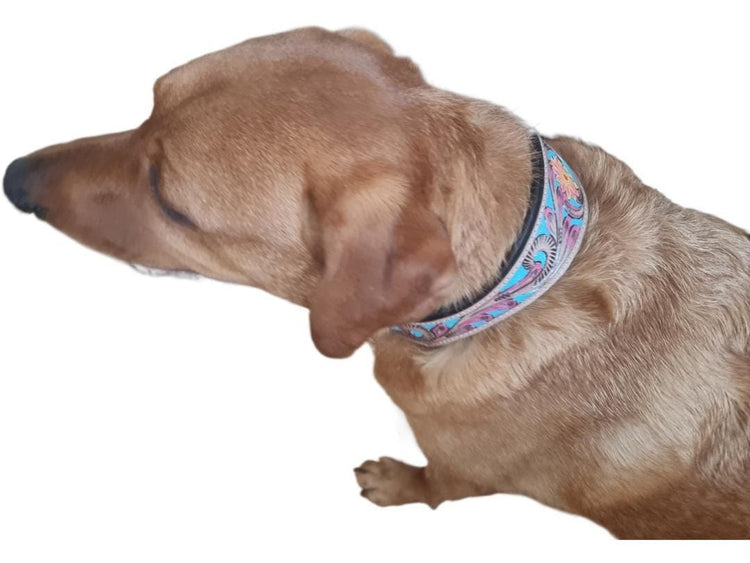 Hand Tooled Leather Dog Collar: Sunflower Boho Western Style