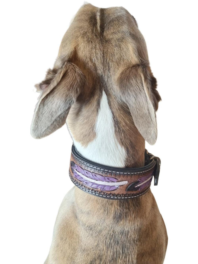 Hand Tooled Leather Dog Collar: Western Boho Feather Design