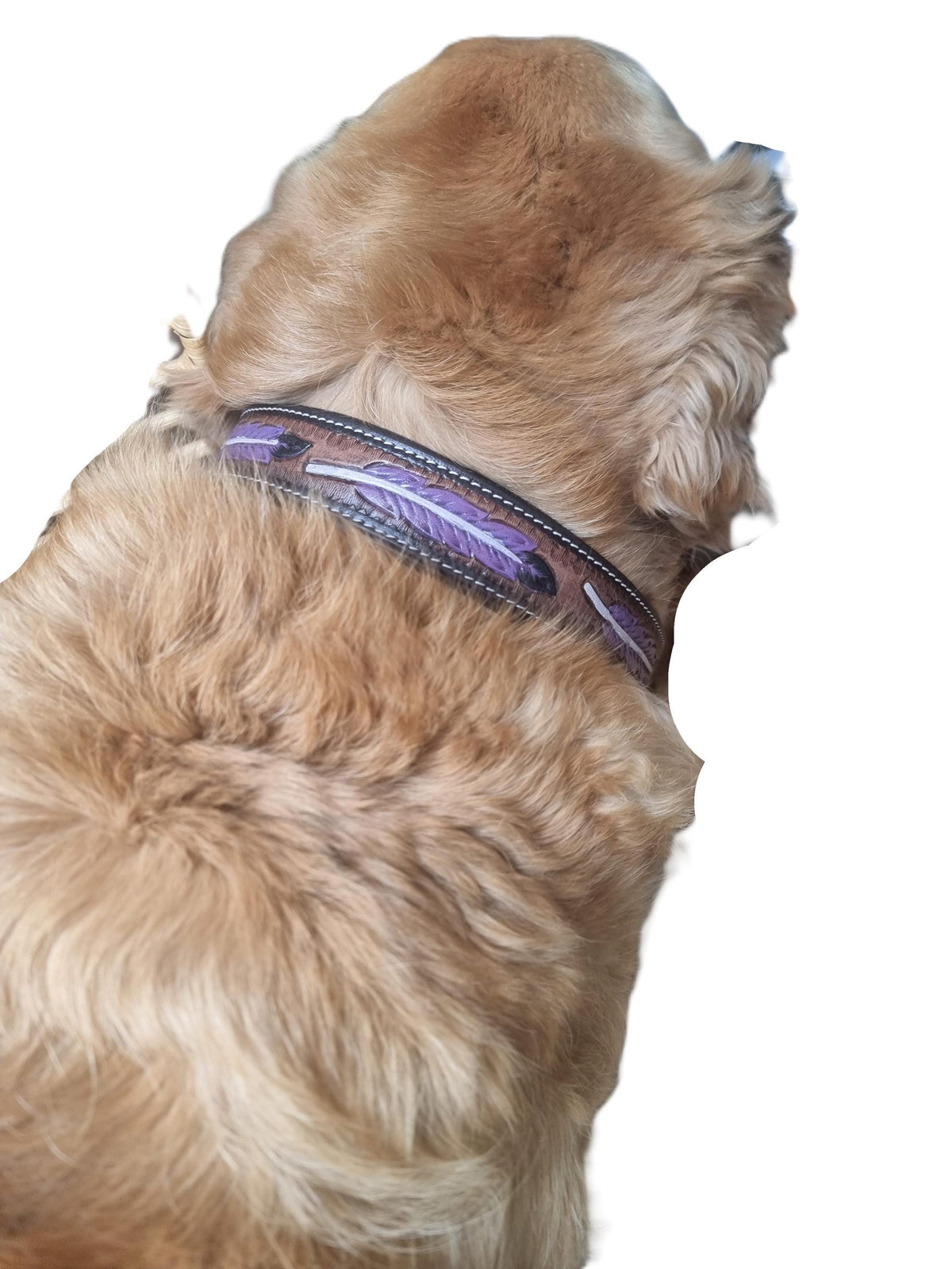Hand Tooled Leather Dog Collar: Western Boho Feather Design