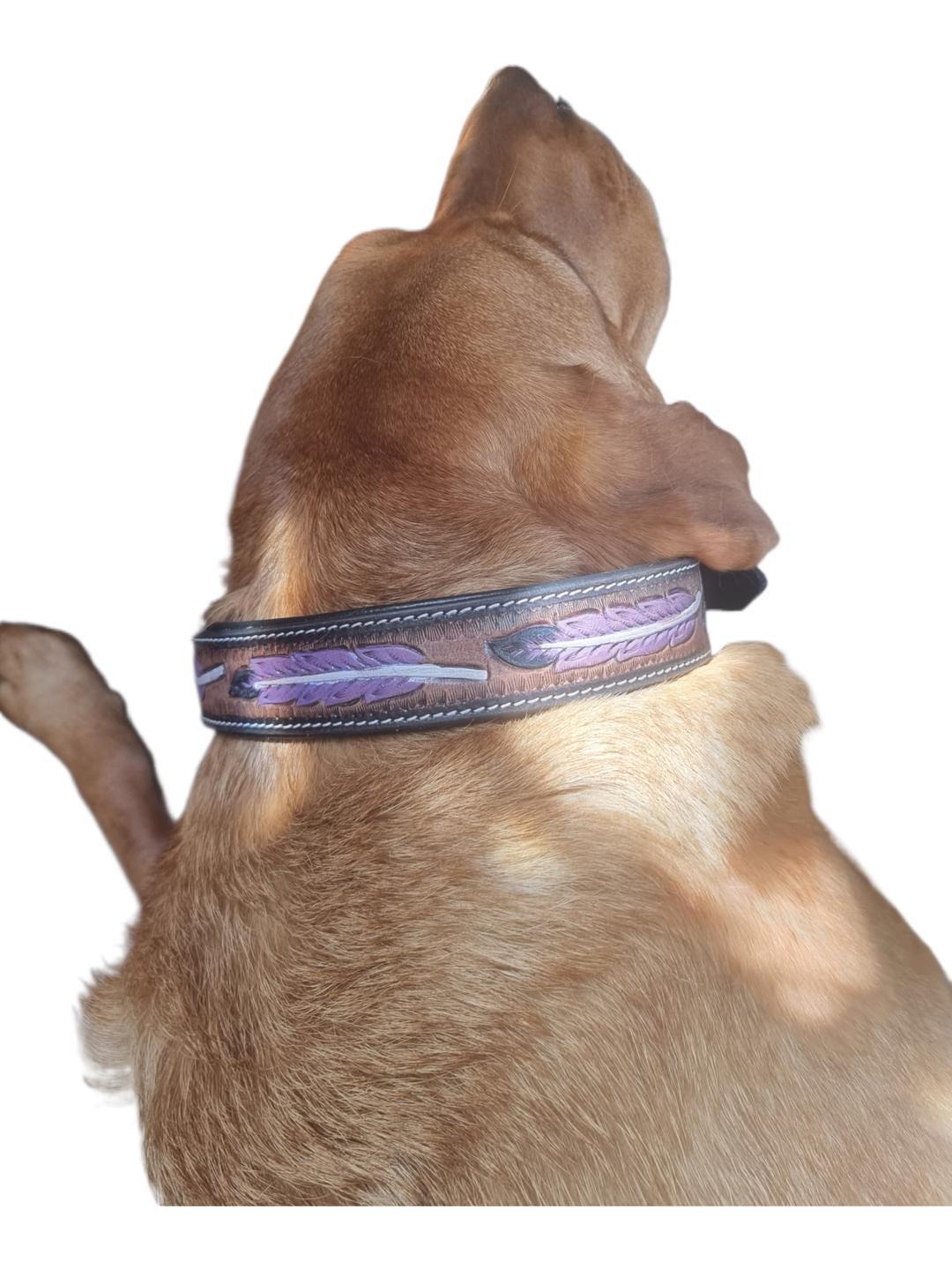 Hand Tooled Leather Dog Collar: Western Boho Feather Design