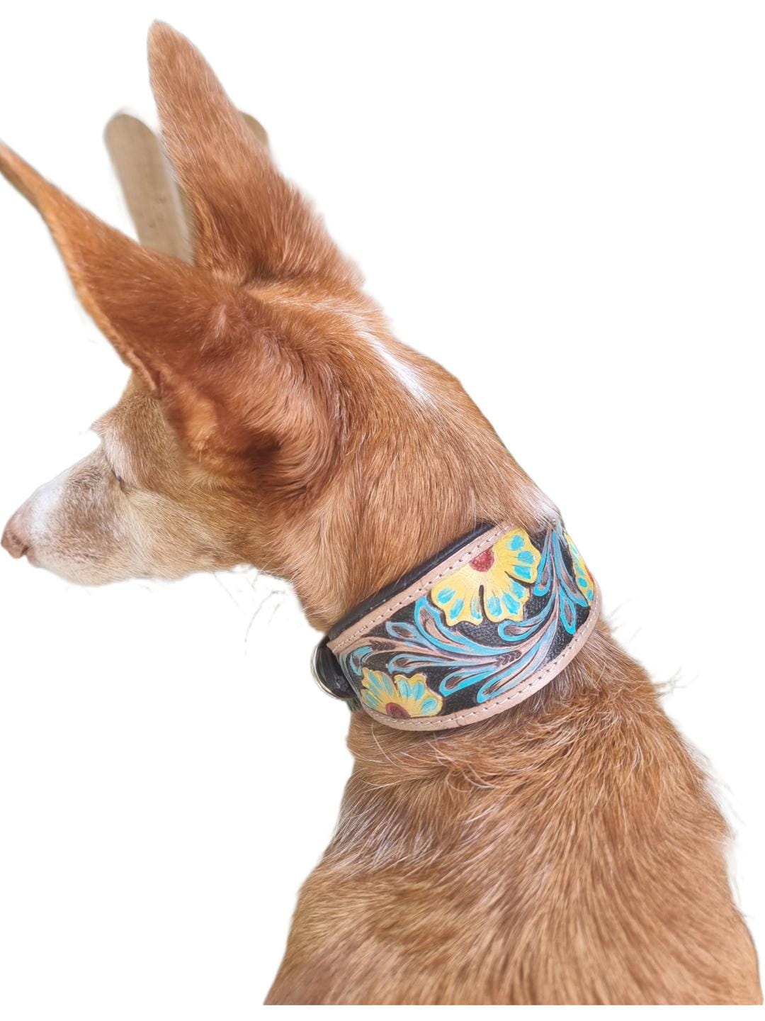 Greyhound Dog Collar, Tooled Genuine Leather, Multicoloured Floral Pattern, Handmade Puppy Harness, Pet Supplies