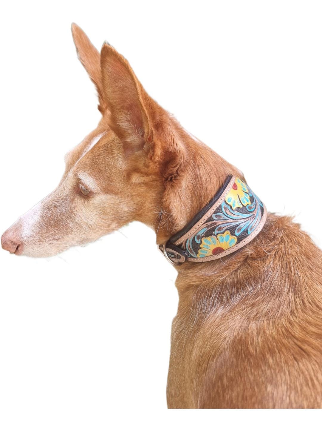 Greyhound Dog Collar, Tooled Genuine Leather, Multicoloured Floral Pattern, Handmade Puppy Harness, Pet Supplies