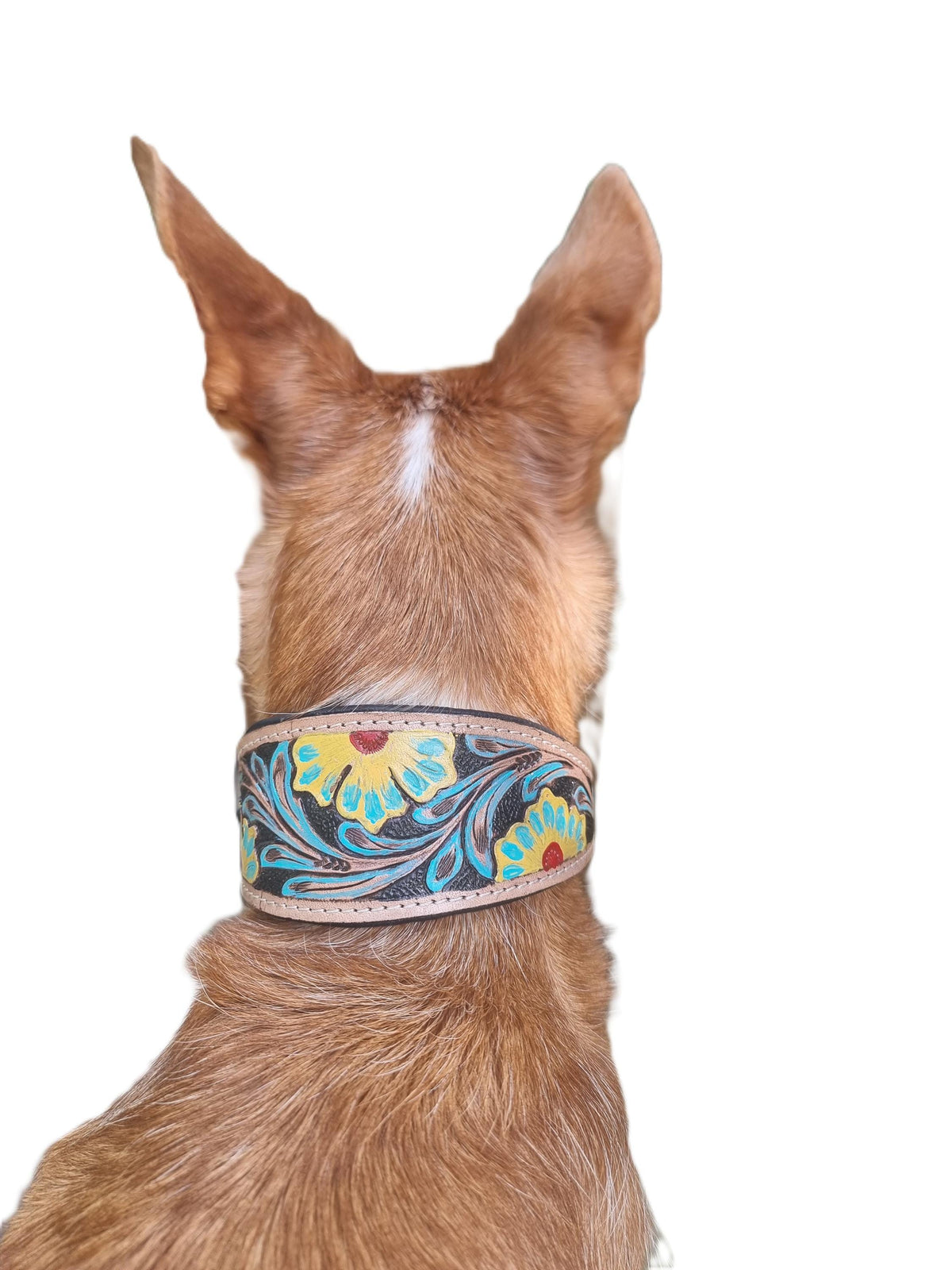 Greyhound Dog Collar, Tooled Genuine Leather, Multicoloured Floral Pattern, Handmade Puppy Harness, Pet Supplies